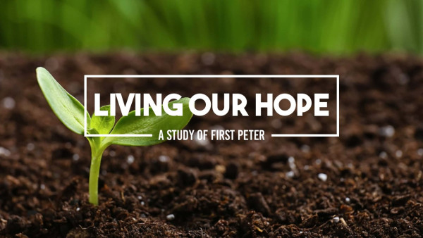 Living our Hope