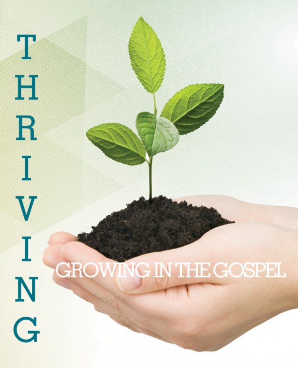 Ephesians - Grounded - Thriving in the Gospel