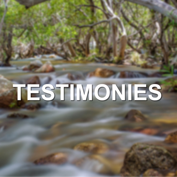 Testimonies