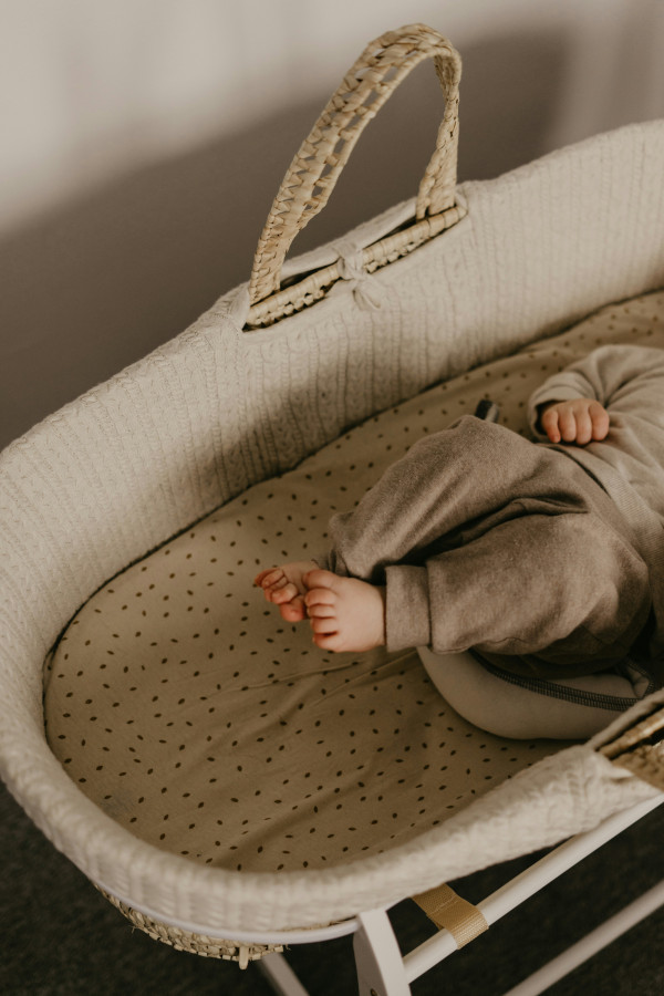 The Journey To The Cradle