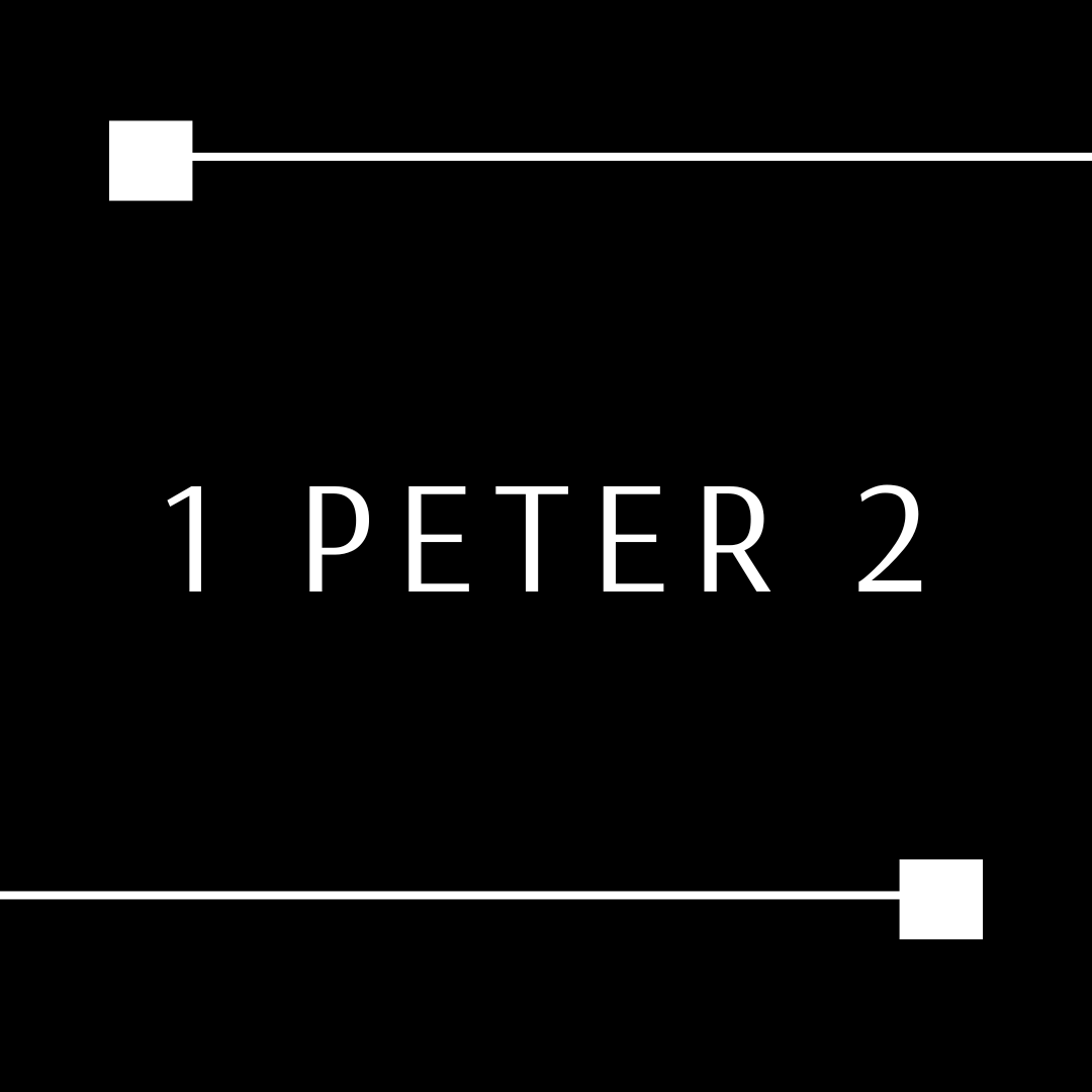 1 Peter 2 episode artwork
