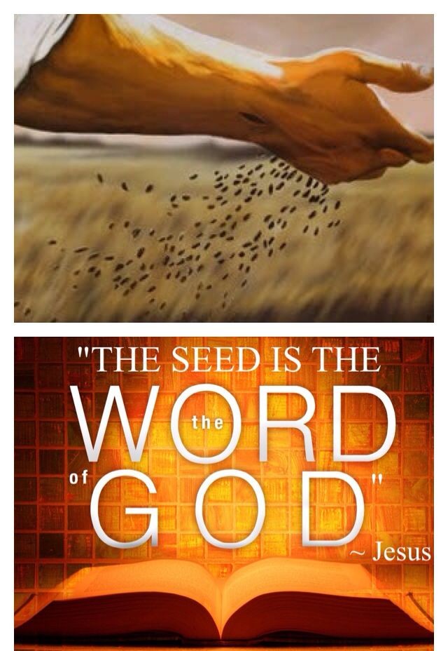 Sacred Seeds episode artwork