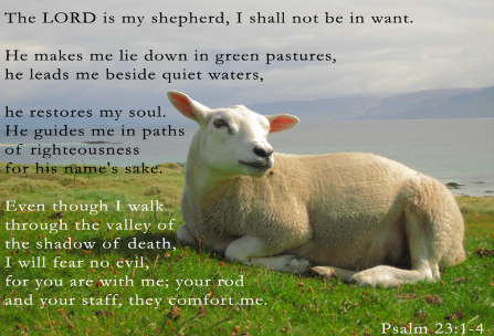 Psalm 23 - I Have All That I Need episode artwork
