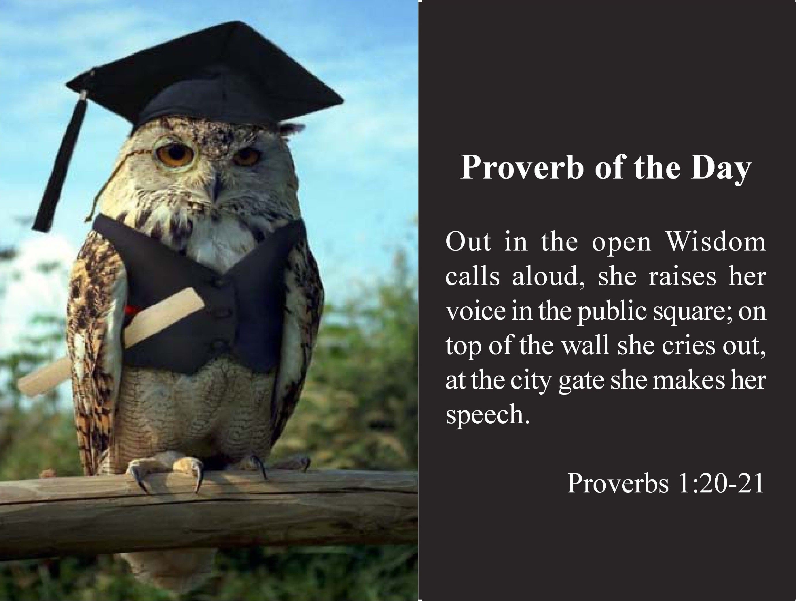 Wisdom Shouts in the Streets Proverbs 1 20-33 episode artwork