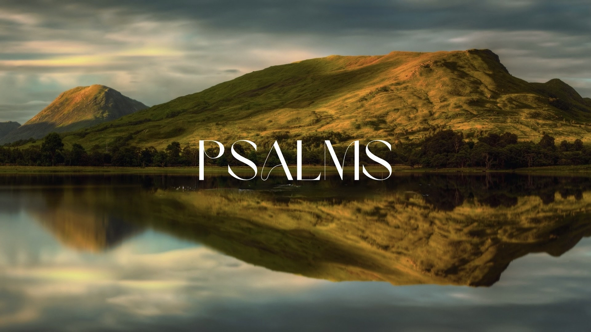 Sermon: Psalm 111 episode artwork