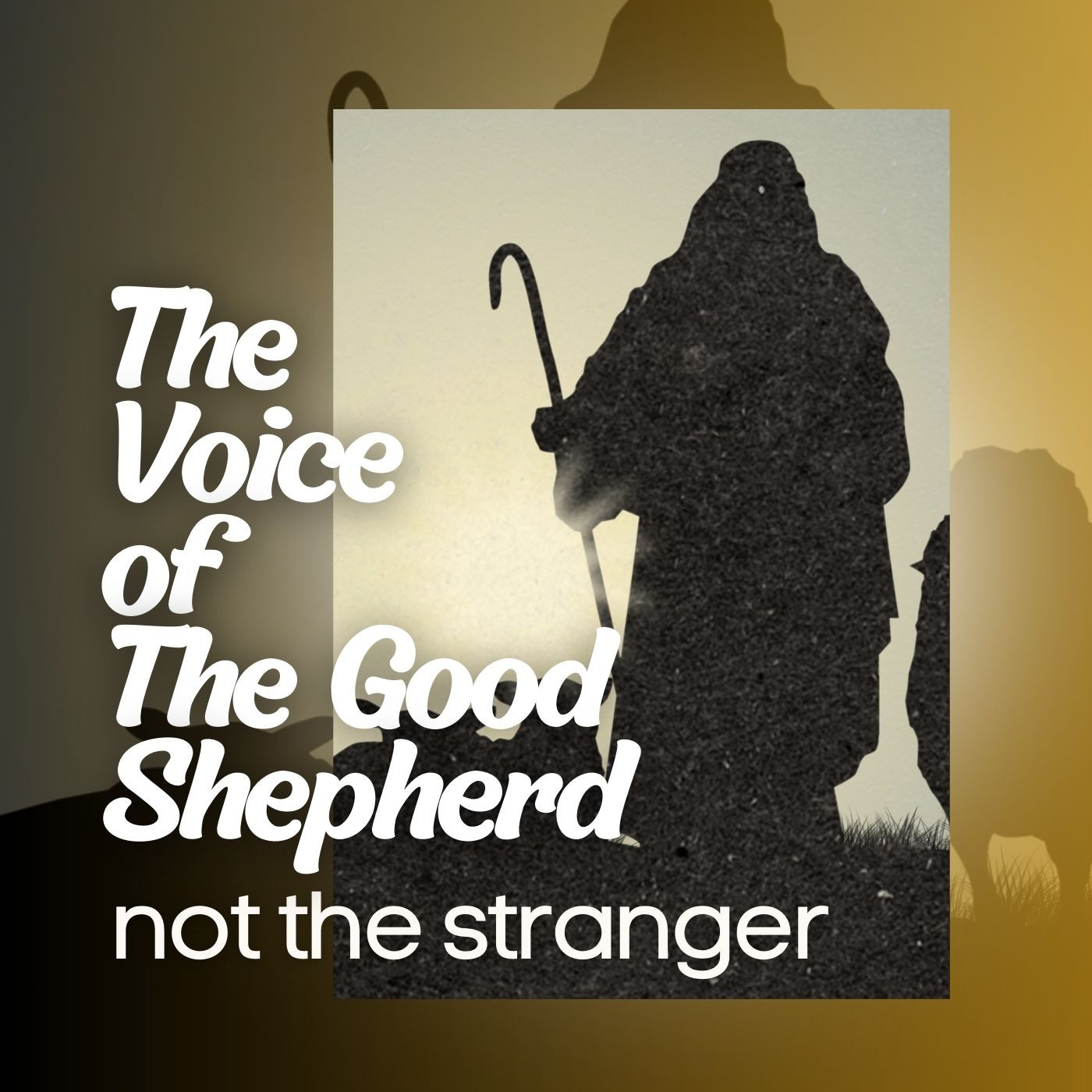 "The voice of the good shepherd not the stranger" -March 2, 2025 episode artwork