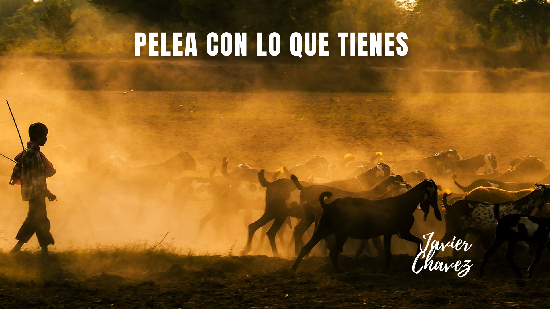 Pelea con lo que tienes episode artwork