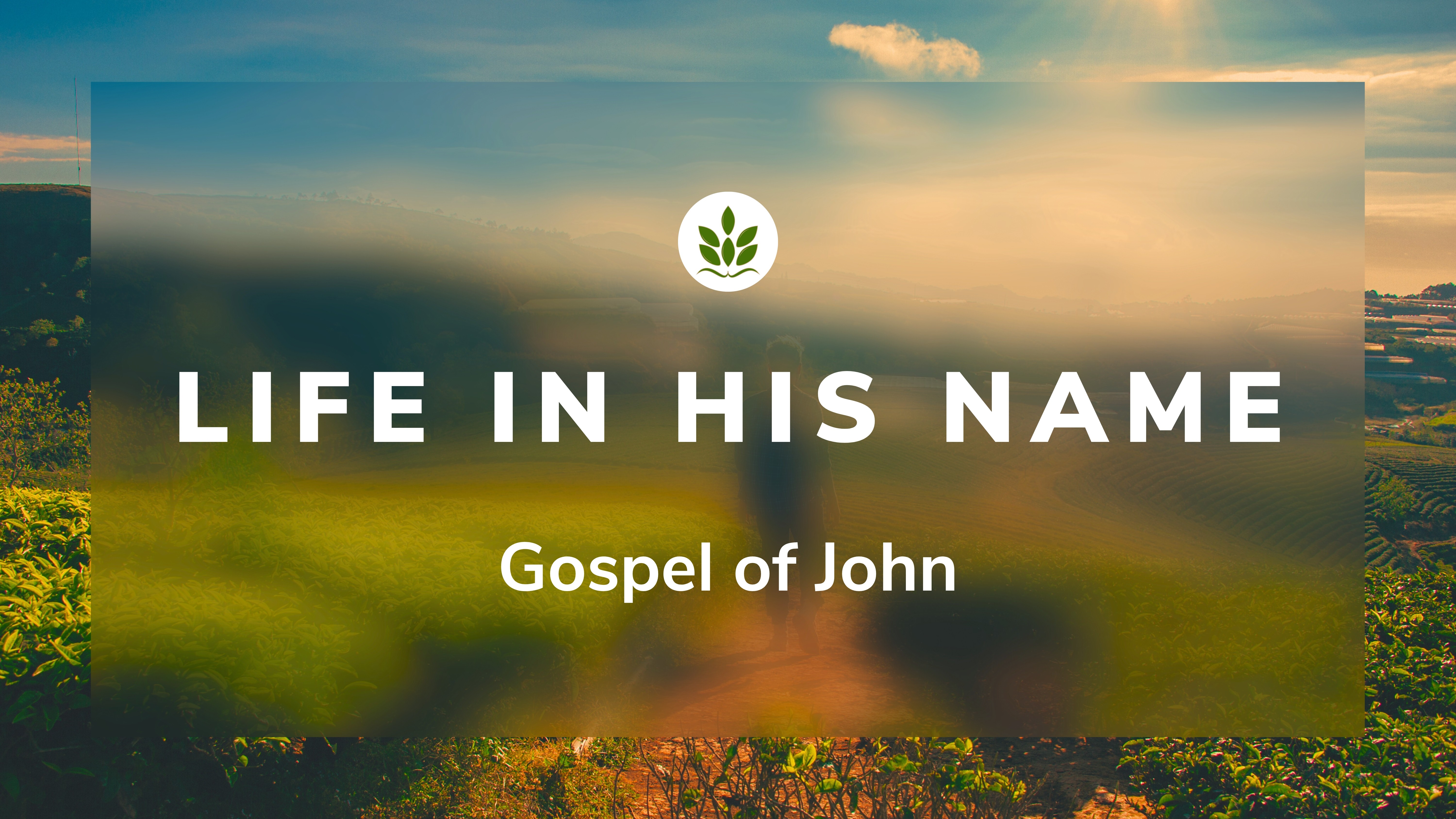 John 4:27-42 The Gospel Harvest episode artwork