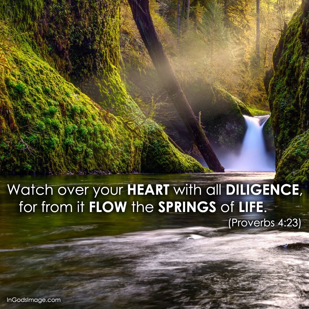 Guard Your Heart and Mind episode artwork