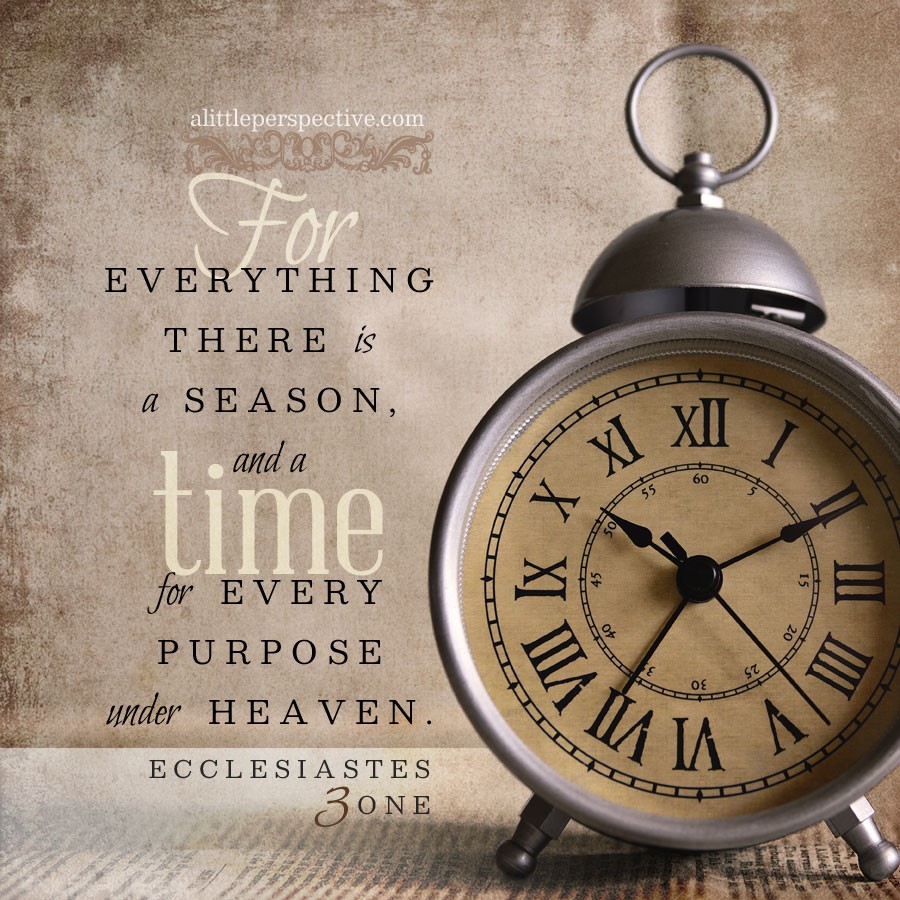A Time For Everything episode artwork