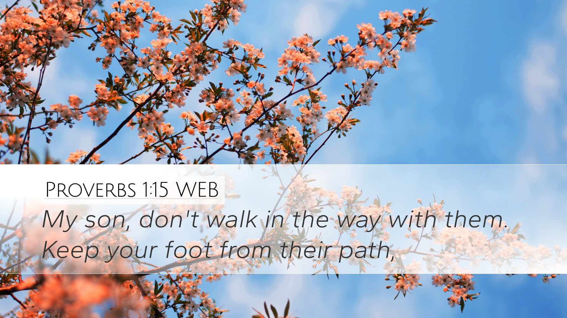 Acquire Wisdom Part 2-Proverbs 1 14-19