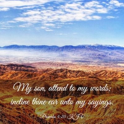 Become A Diligent Student of The Bible