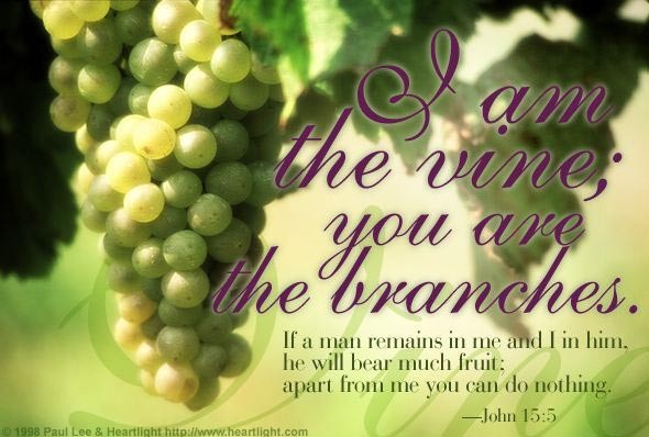 Yes, I am the Vine... episode artwork