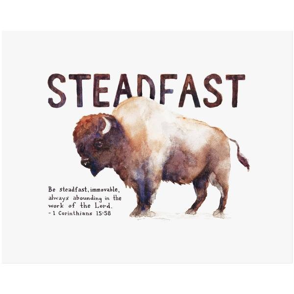 steadfast episode artwork