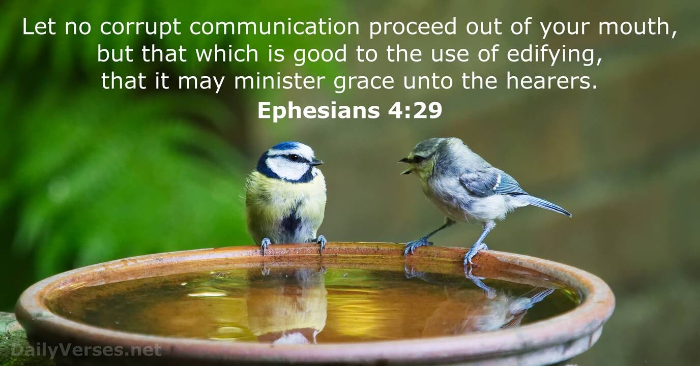 Stellar Thinking episode artwork