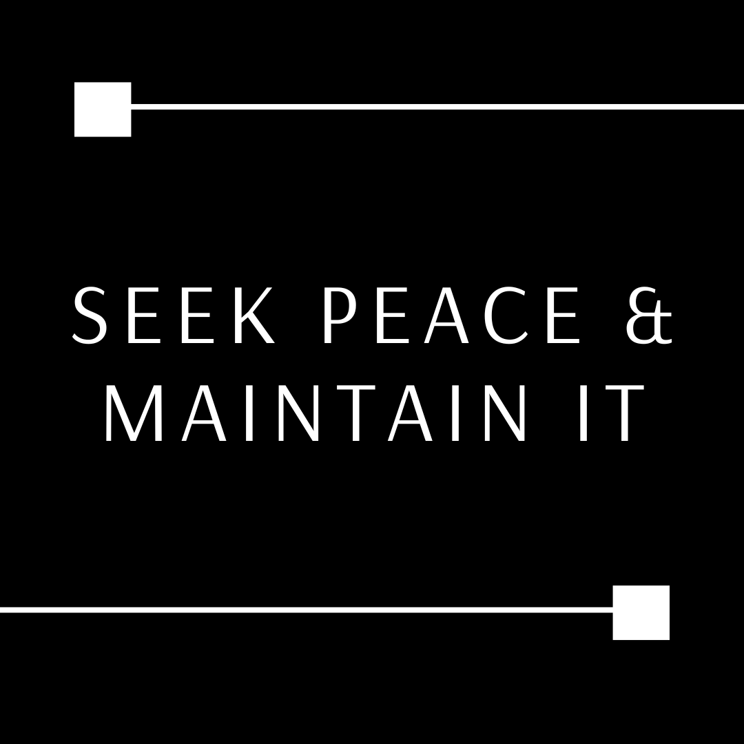 Seek Peace & Work to Maintain It episode artwork