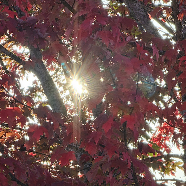 Podcast Interview With Ashley