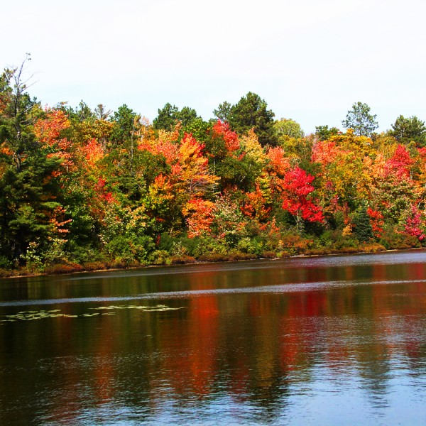 God's Providential let Sovereign Hand