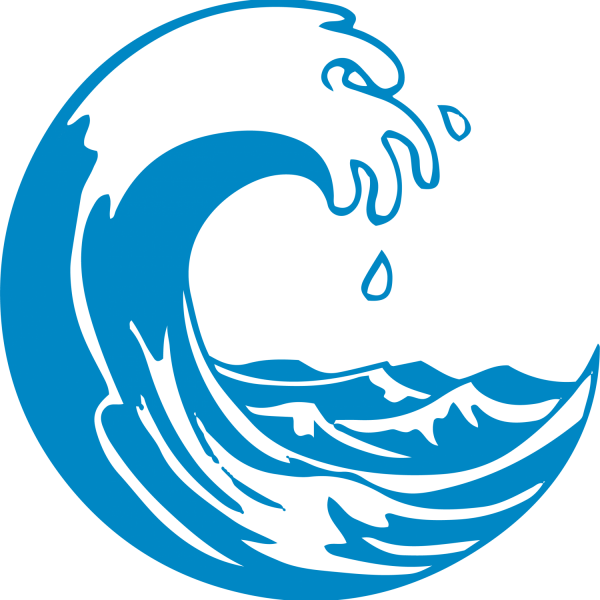 Back to the Basics  Palm Sunday