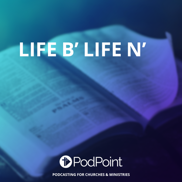 LIFE B’ LIFE N’