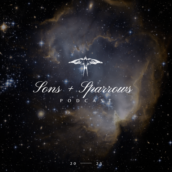 Intro to Sons & Sparrows