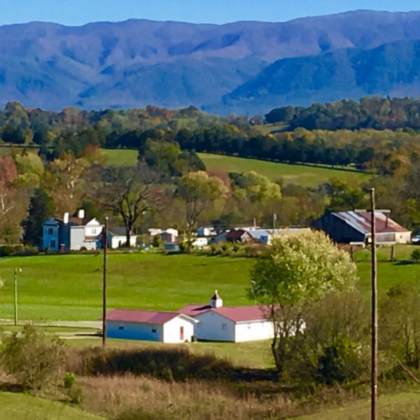 The Plan of God Will Prevail