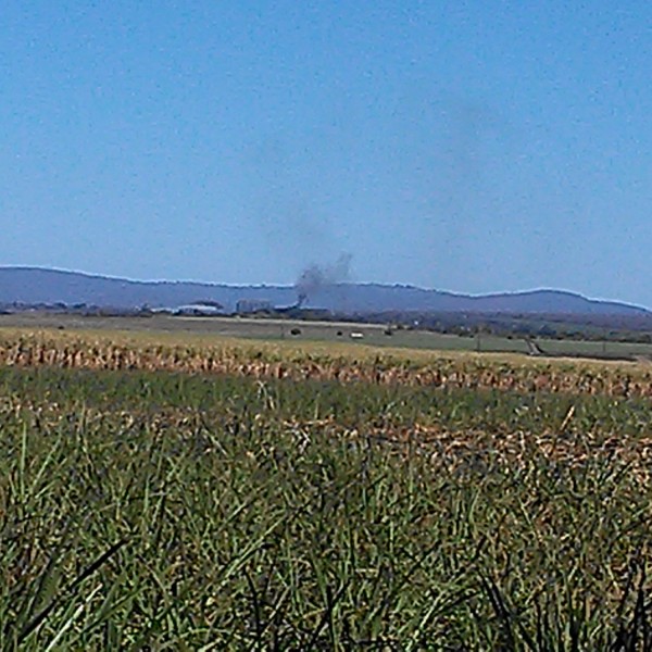 Isaiah 42:9 Holy Cred