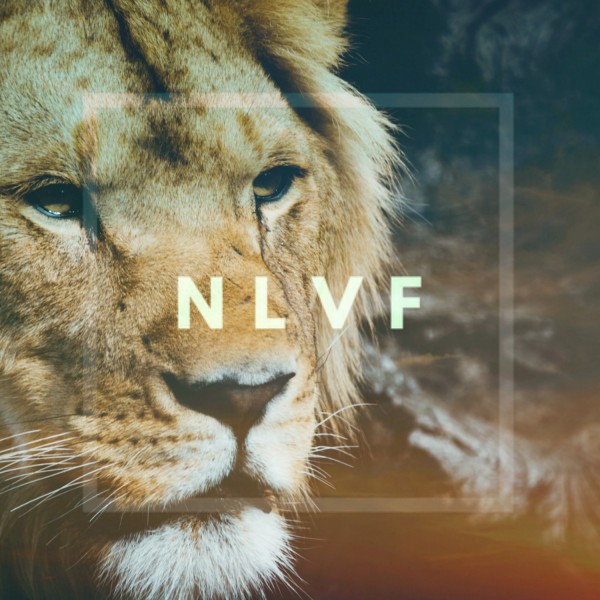 Jesus the Bridegroom - Nov 15, 2015