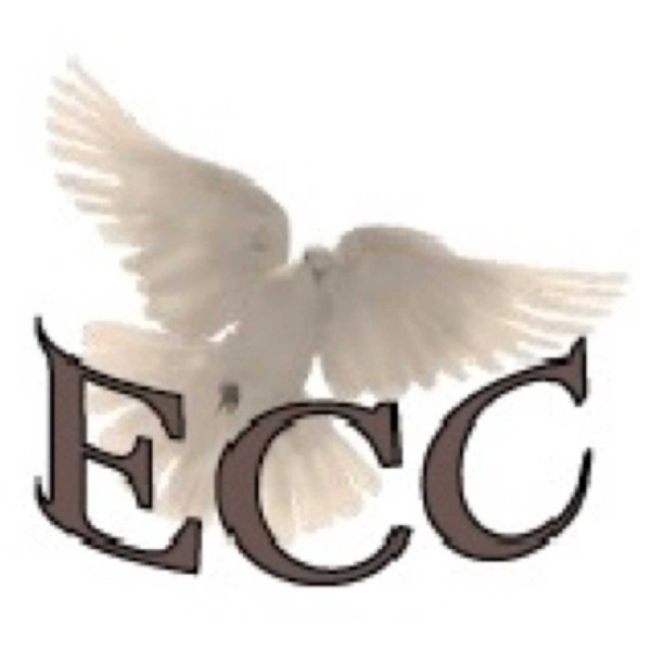 The Role of the Remnant - Romans 11:1-8