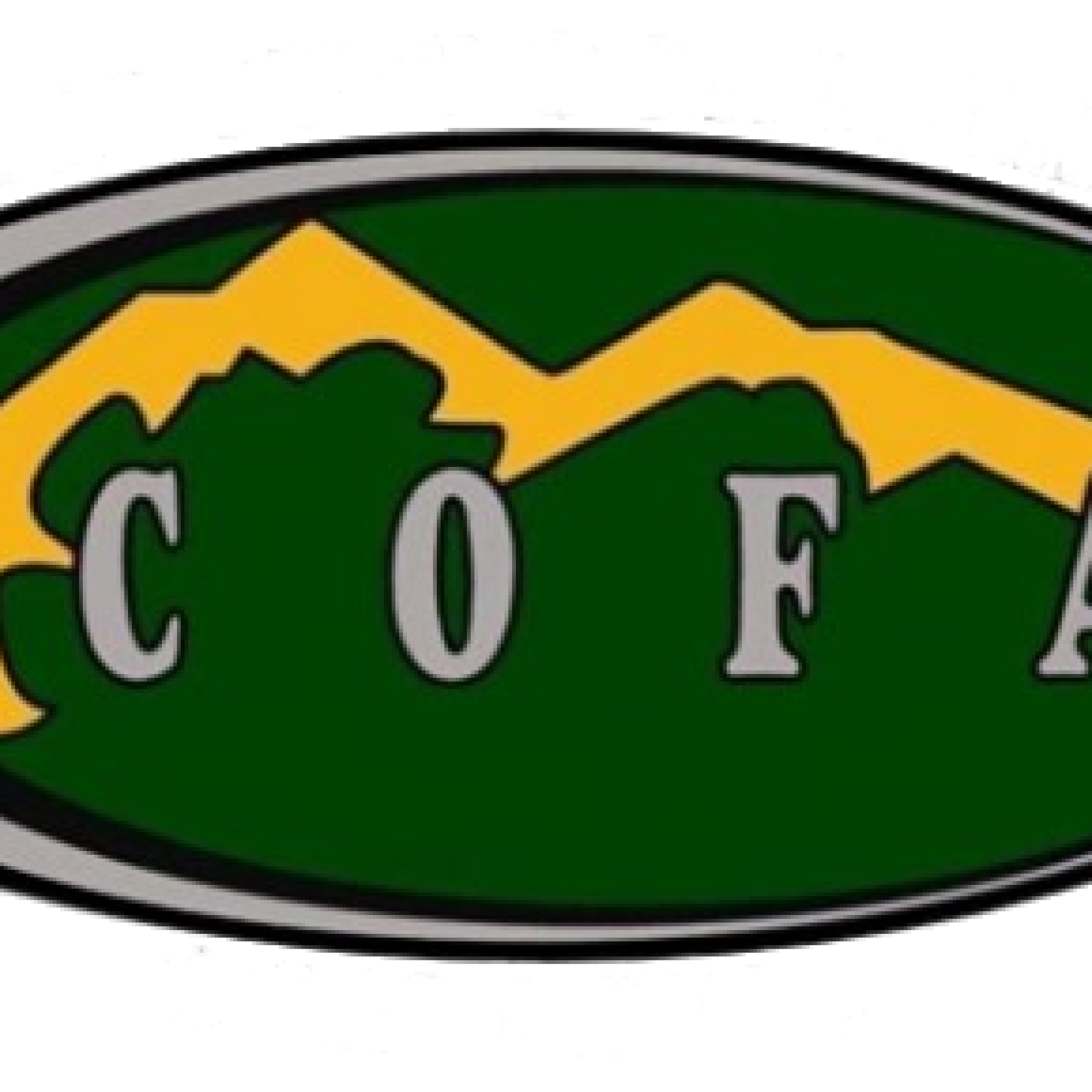 Just Sitting Around The Campfire