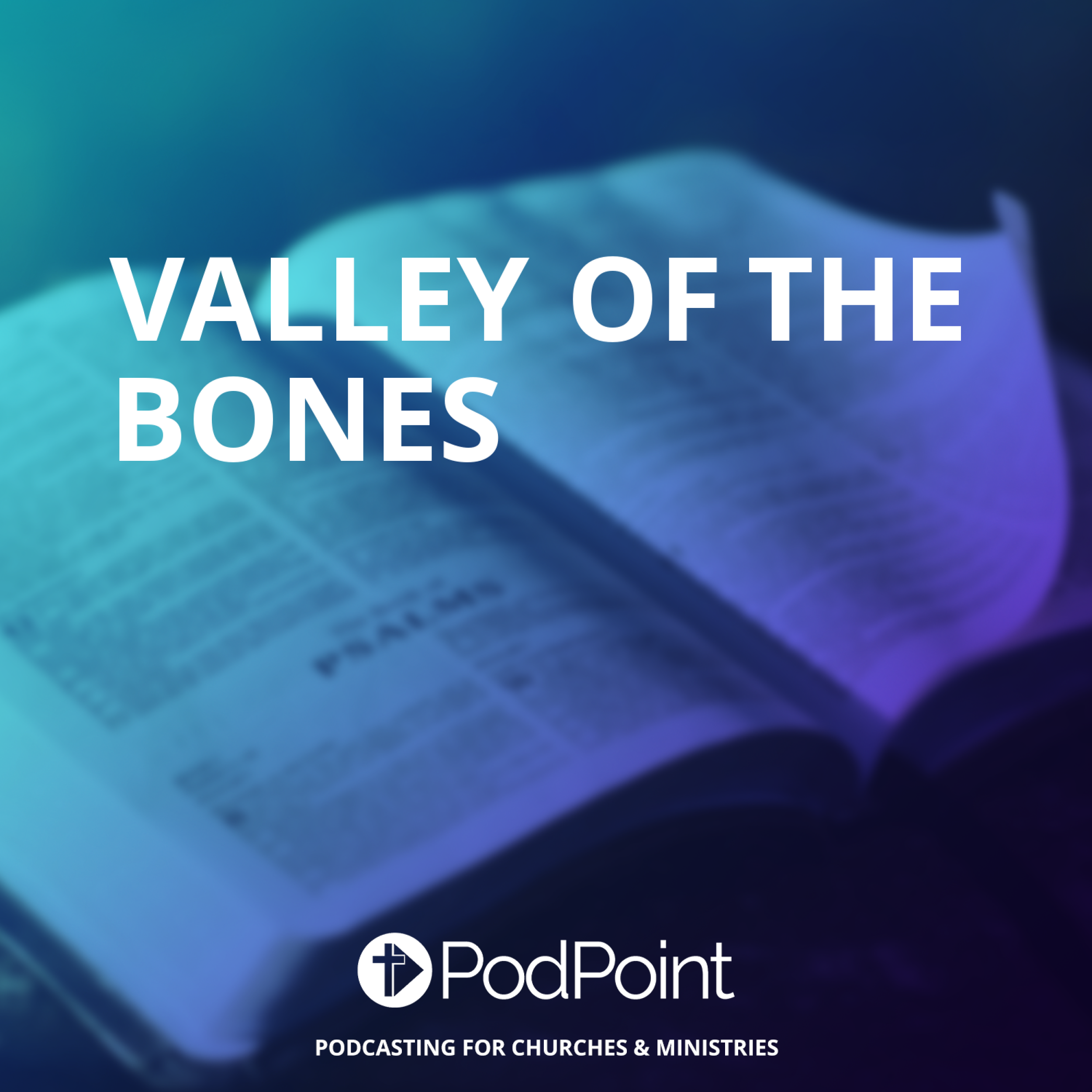 Logo of the podcast Valley Of The Bones Podcast Valley Of The Bones