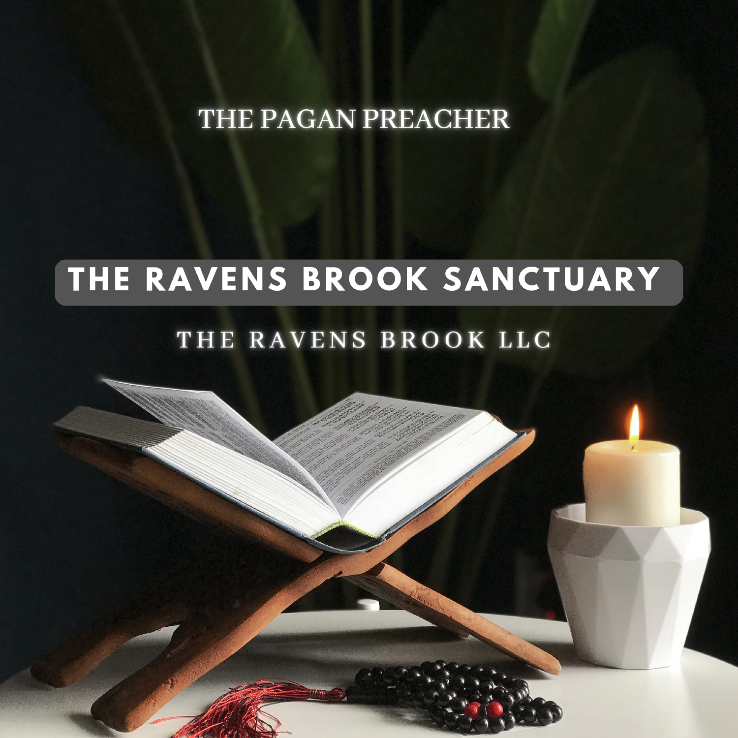 The Ravens Brook Sanctuary podcast artwork