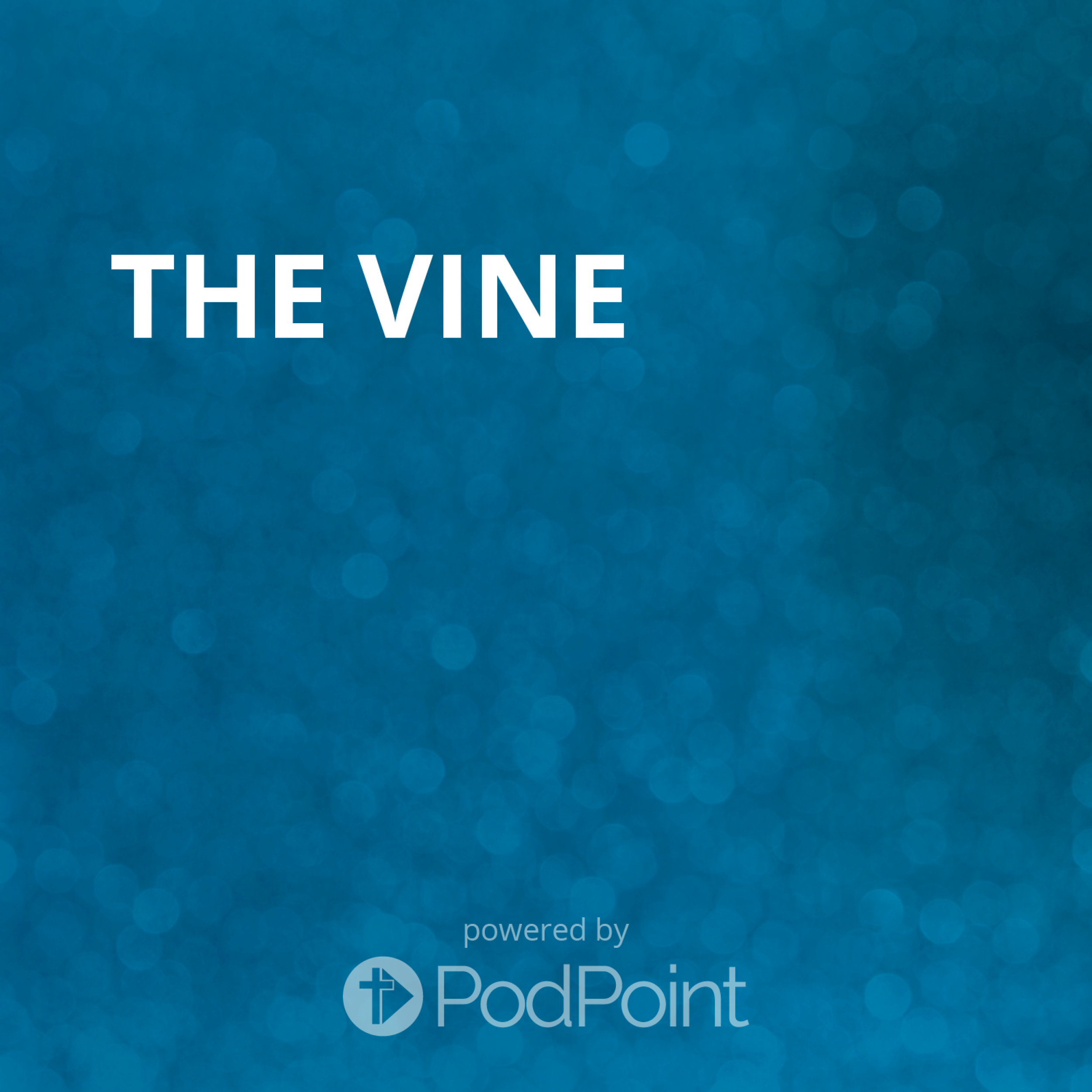 The Vine